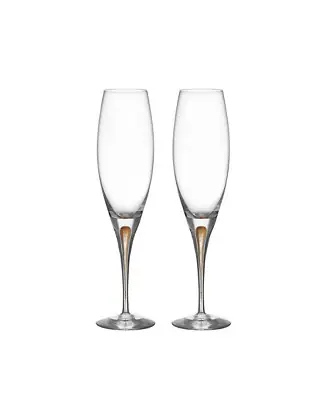 Limited Offer Intermezzo Gold Champagne Glass, 2-pack
