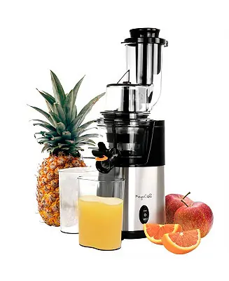 Pro Stainless Steel Single Speed Slow Juicer Final Sale