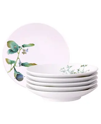 Kyoka Shunsai Set of 6 Deep Plates, 9.25", 26 oz. Special Offer
