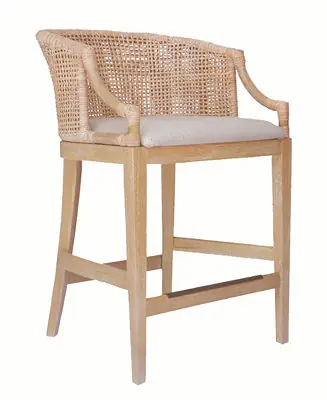 Martha Stewart Playa 25" H Handcrafted Rattan & Wood Counter Stool Save Now